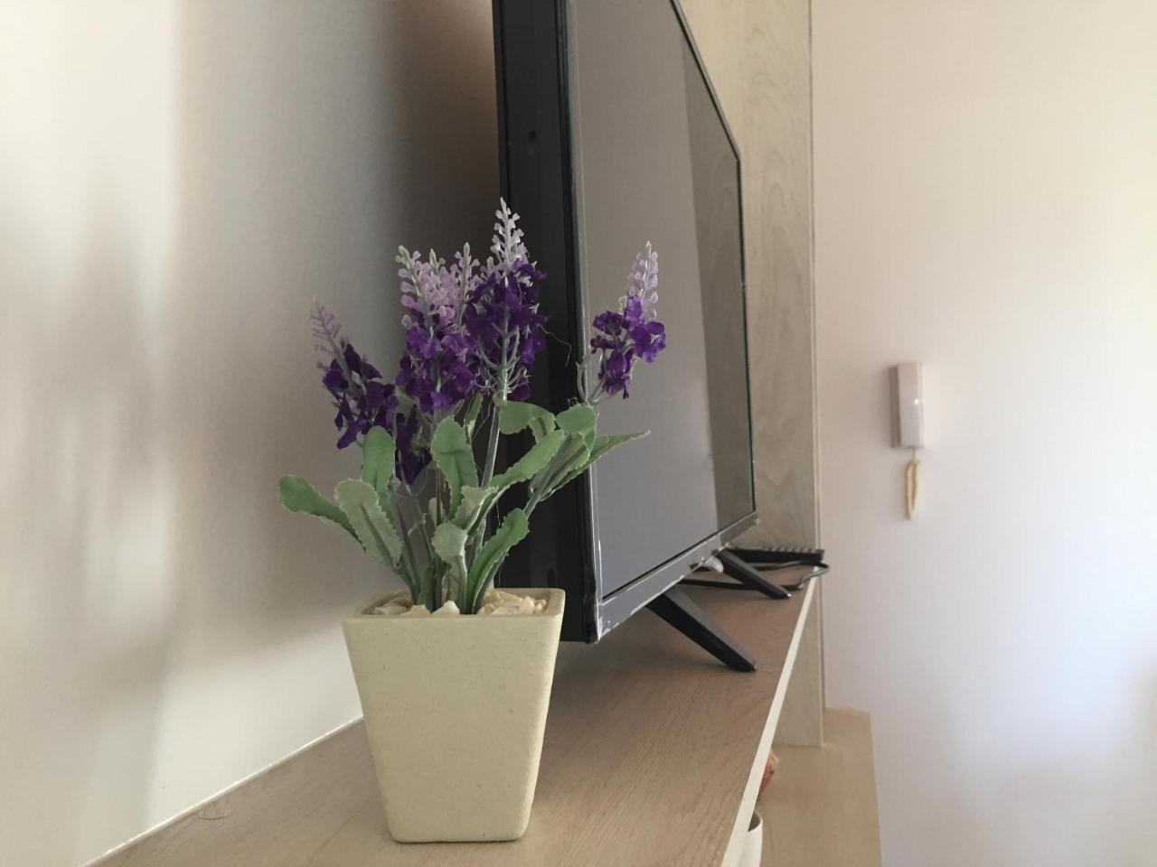 Apartamentos Irigoyen سان رافاييل المظهر الخارجي الصورة
