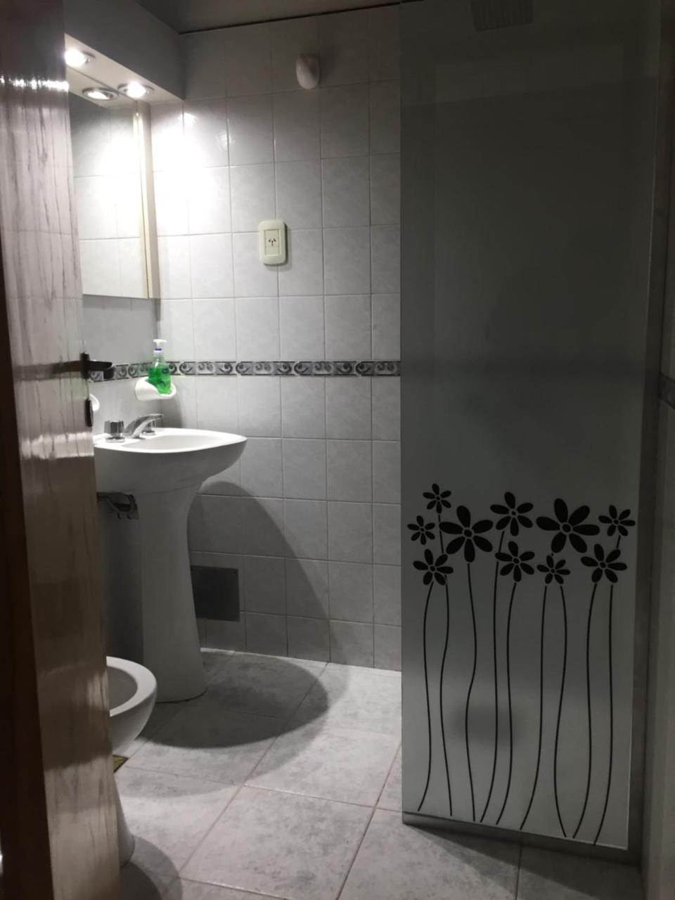 Apartamentos Irigoyen سان رافاييل المظهر الخارجي الصورة