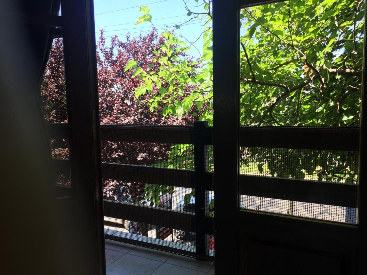 Apartamentos Irigoyen سان رافاييل المظهر الخارجي الصورة